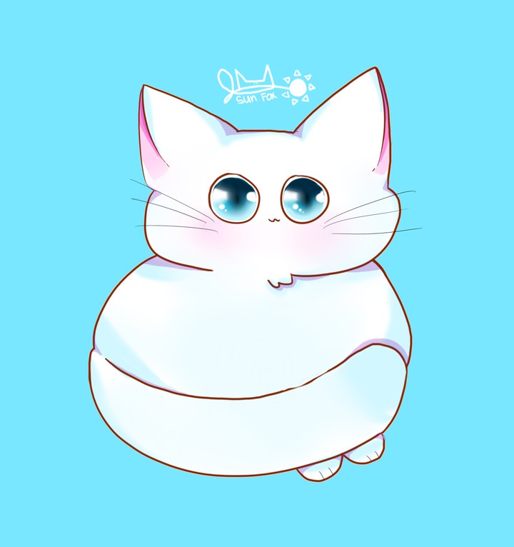 꼬냥이