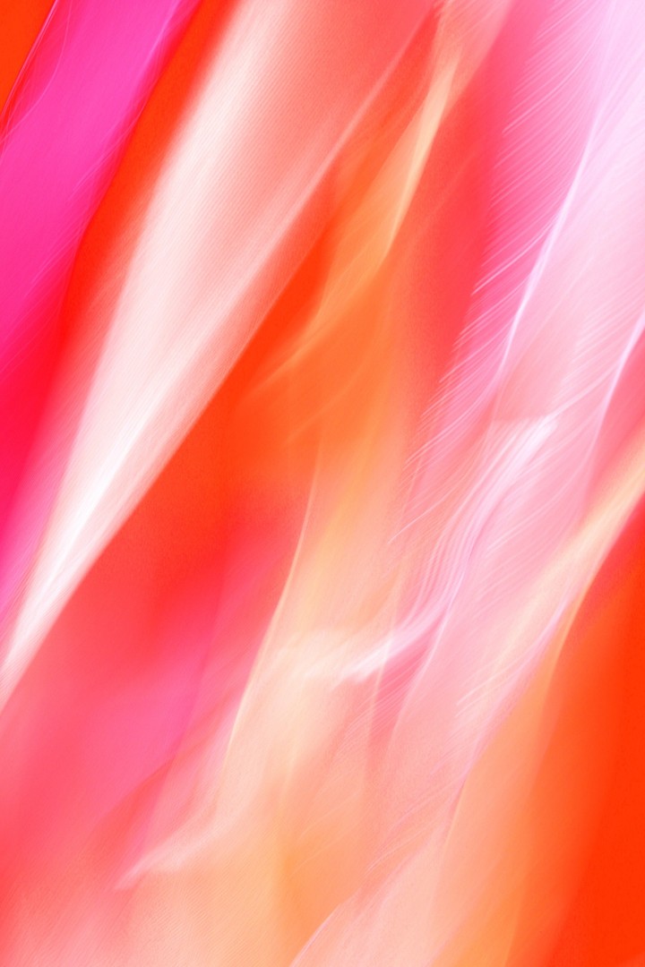 hình nền red, pink