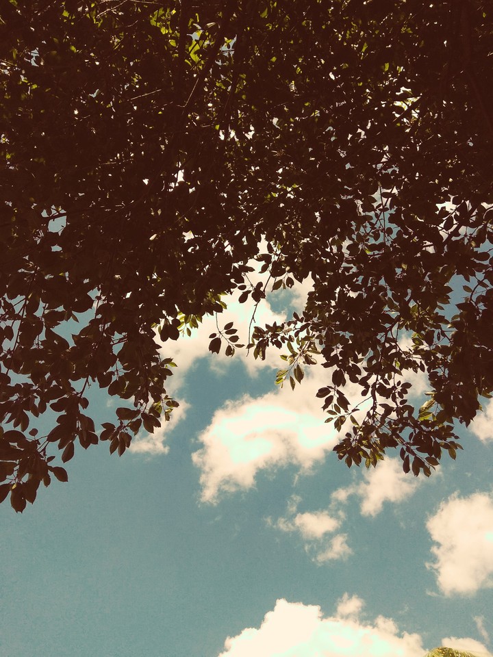 summer