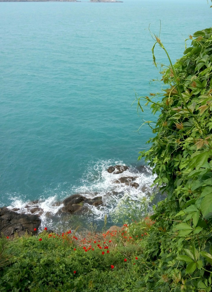 Black sea