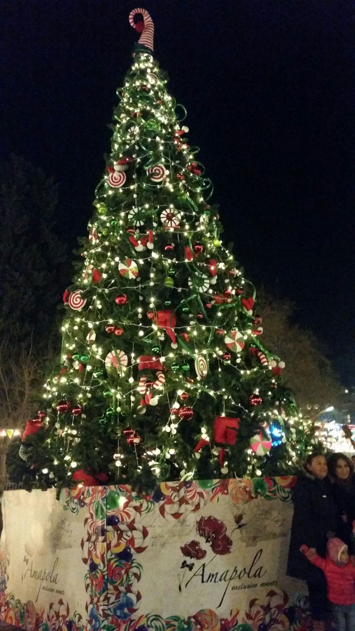 christmas tree