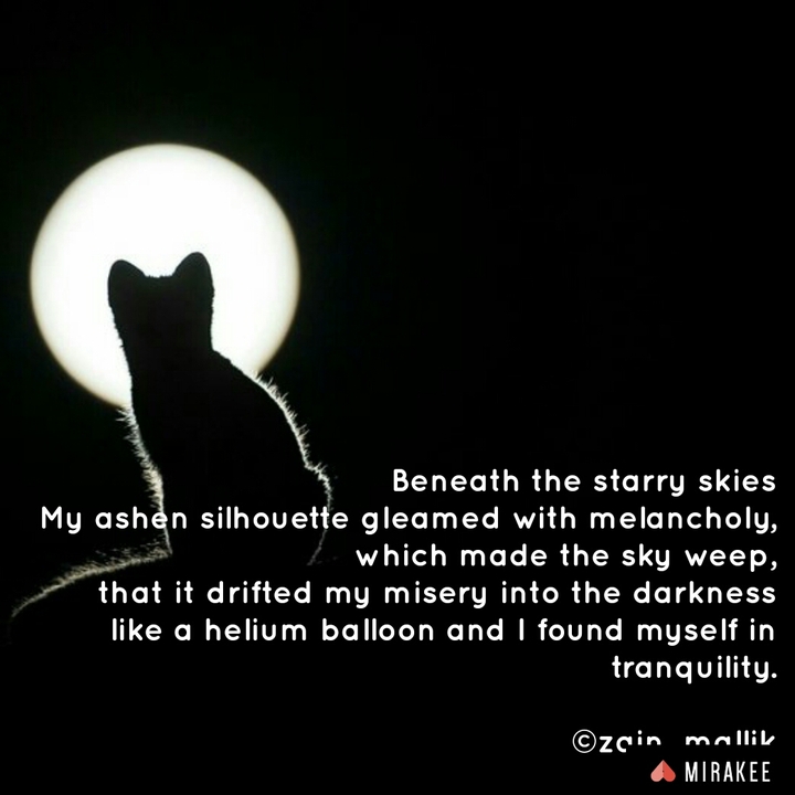 Literature by#Zain Mallik