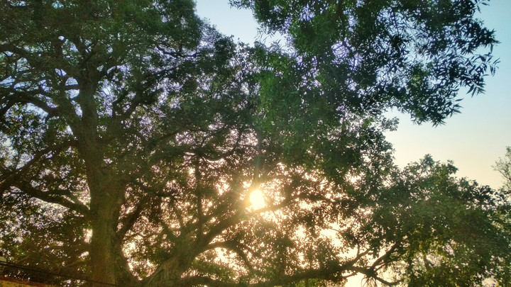 sun smiling