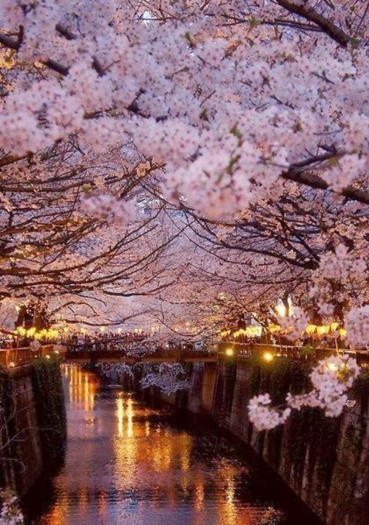 Paysage