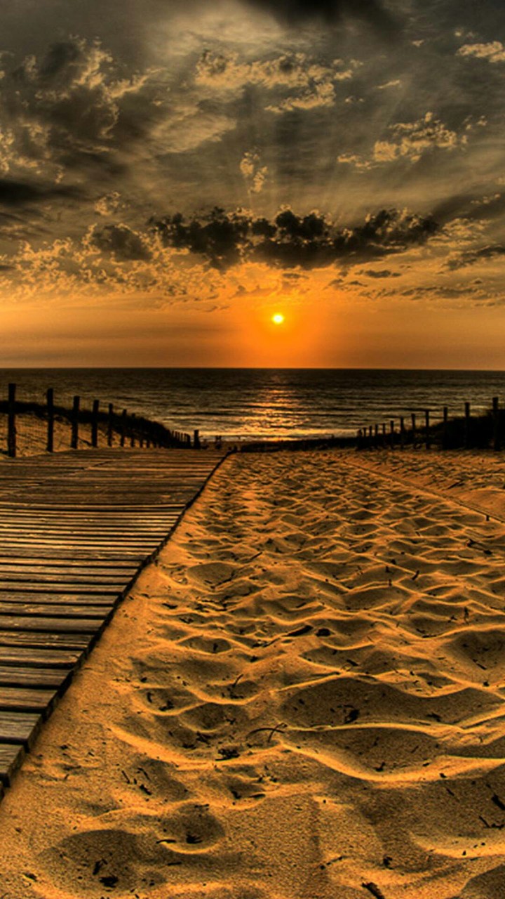 sun sand wood