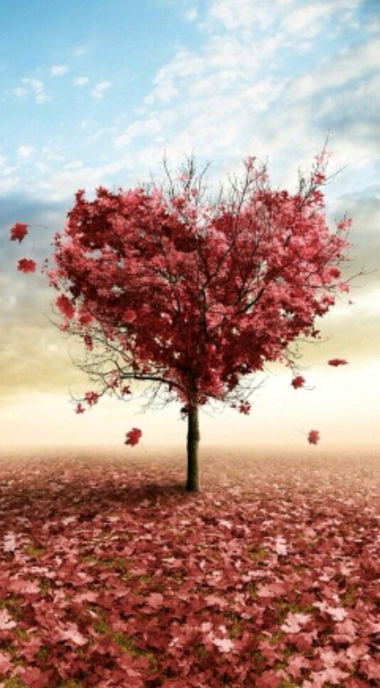 autum