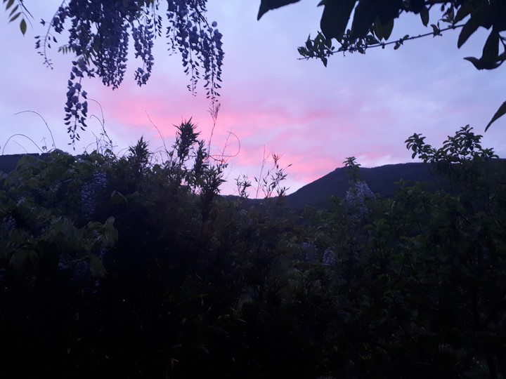 Sogni a colori