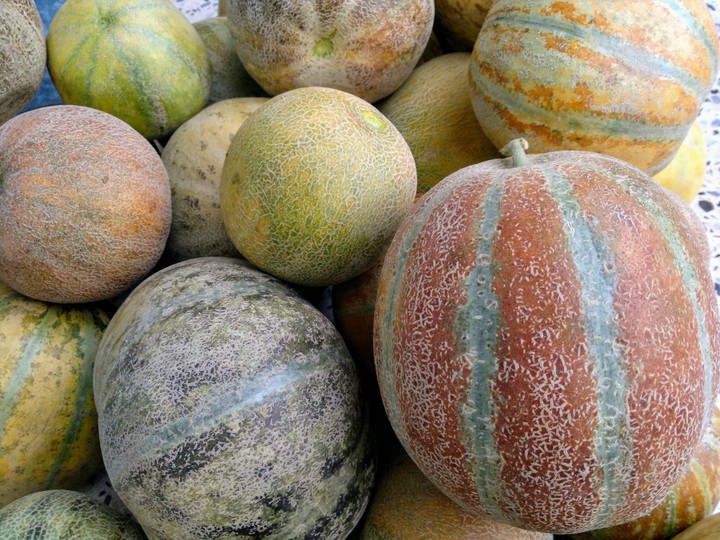 kurdish melons