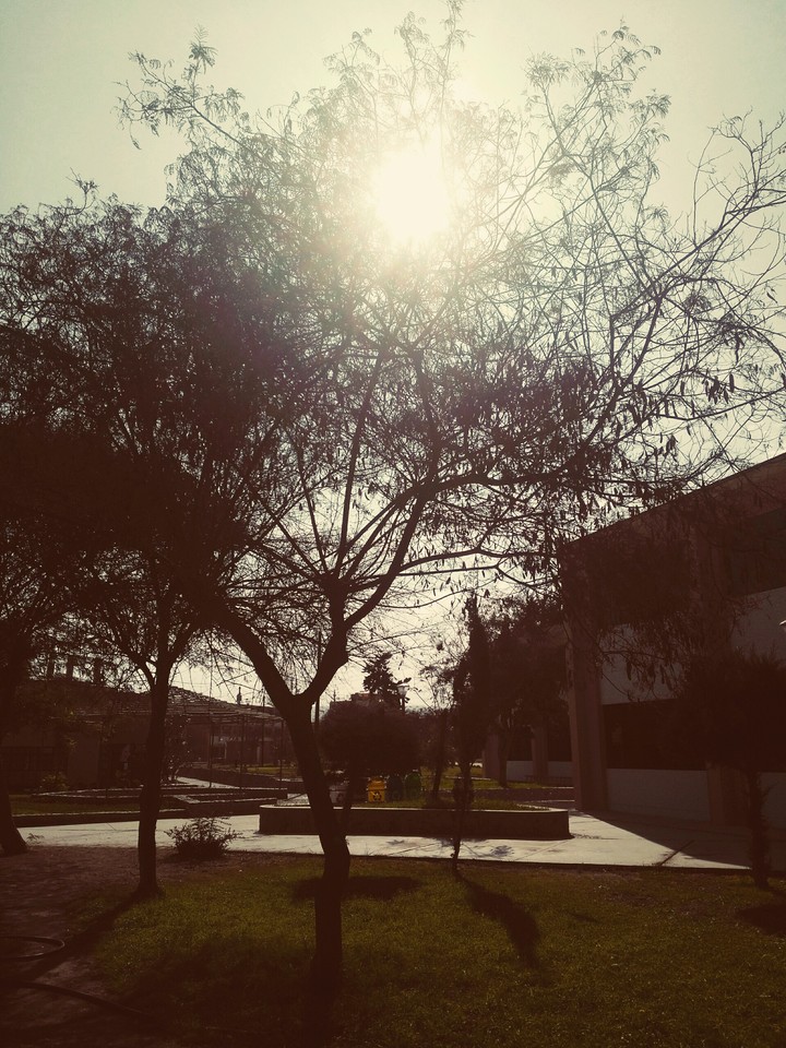 en la universidad