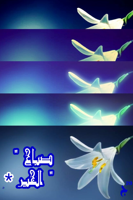 صباح الخیر  ،
