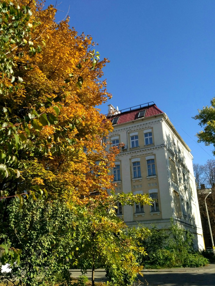 Autumn