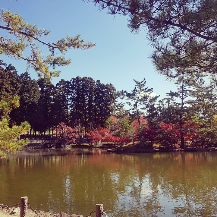 nara#japan