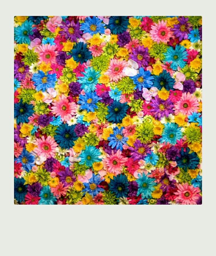 Floywers