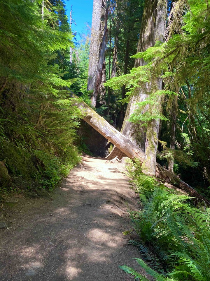 ☀️