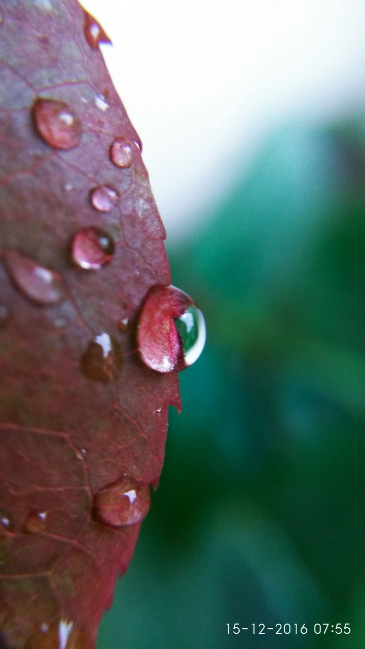 water droplet