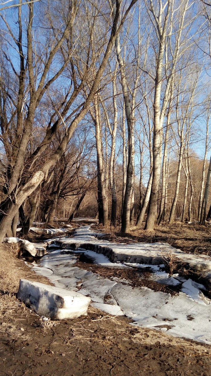 весна