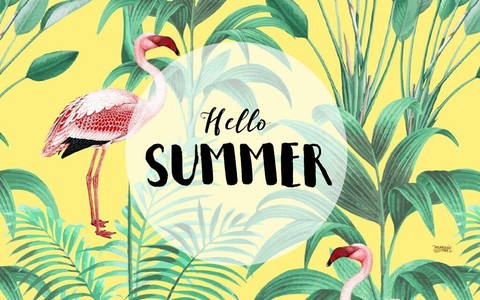 Hello Summer