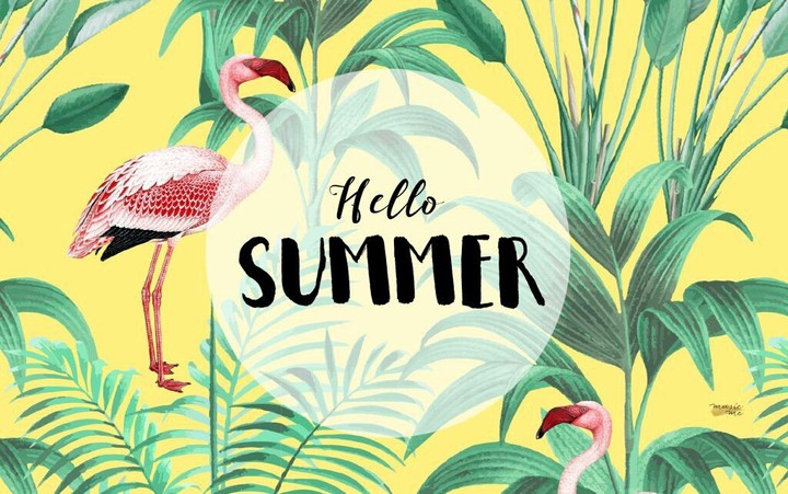 Hello Summer