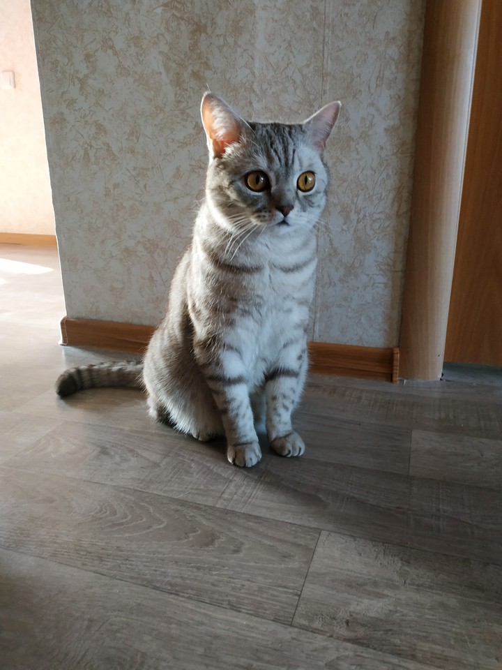 Джемик