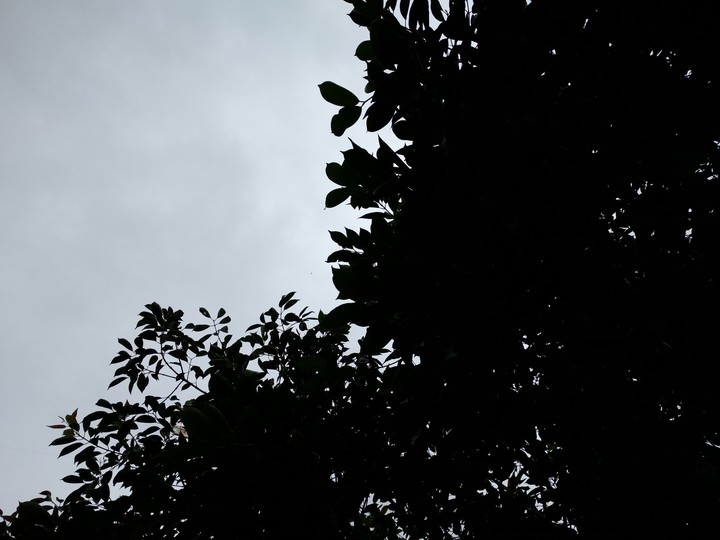 amoled