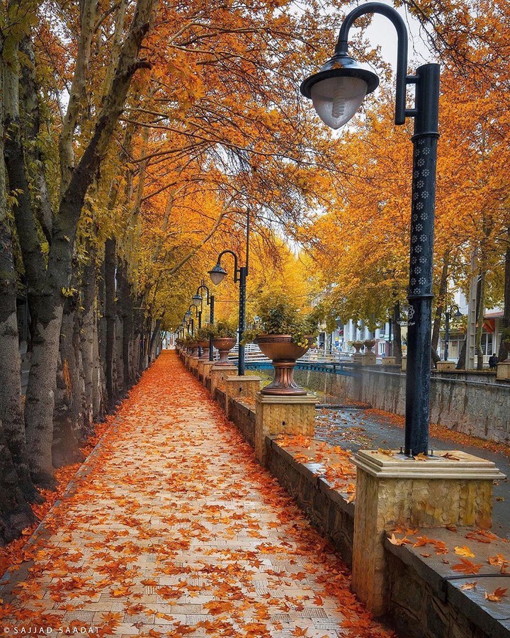 Automn