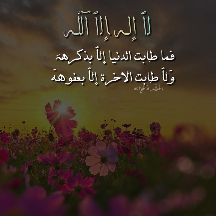 #رحيق_الورد