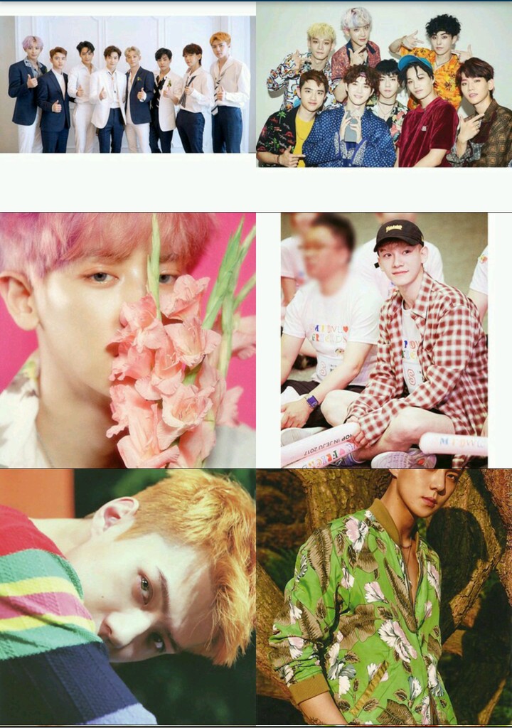 exo