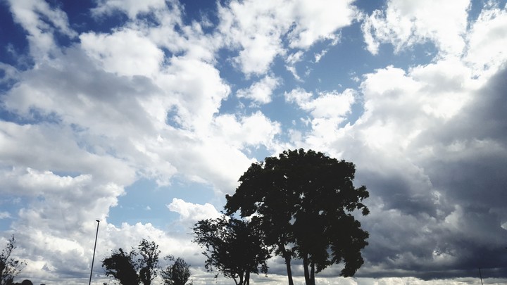 skylove