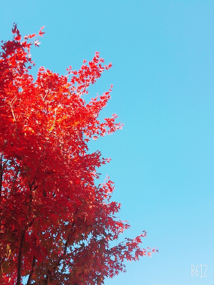 Autumn