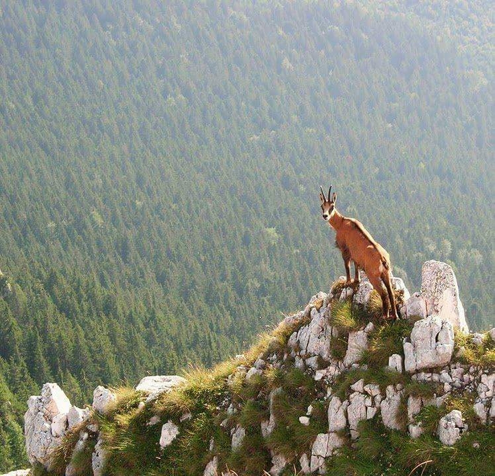 Romania