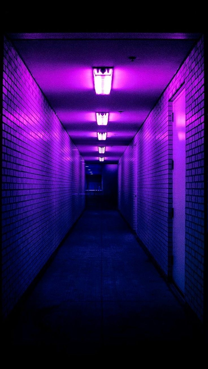 Purple♡