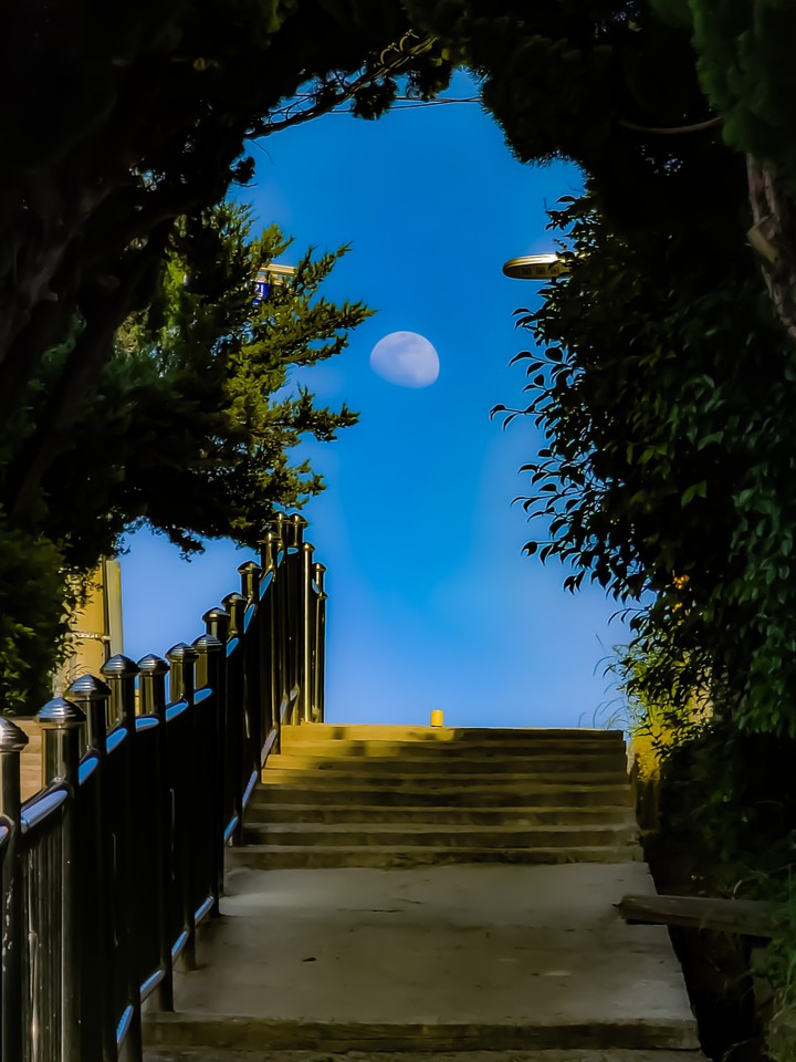낮달