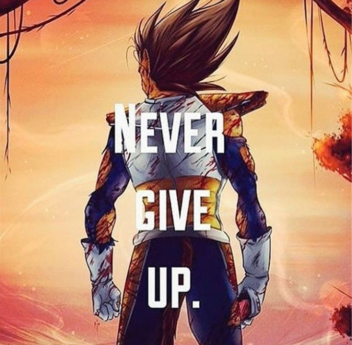vegita