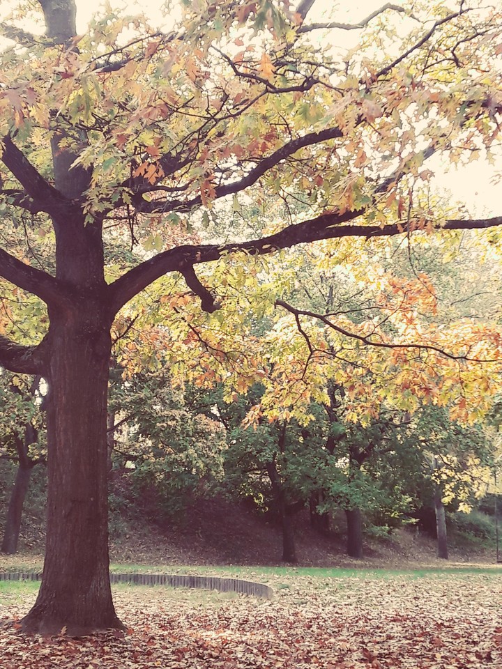 Autumn?