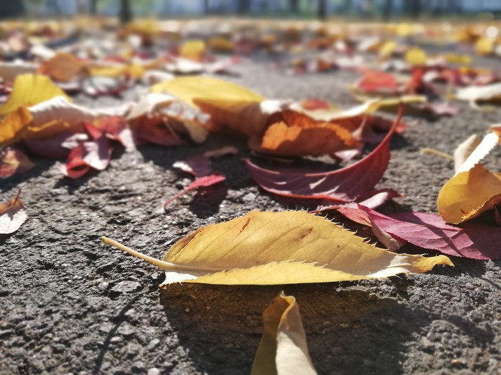 Autumn Nostalgia
