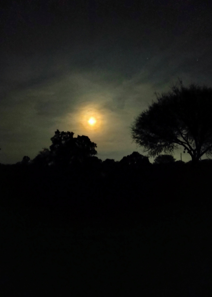una noche