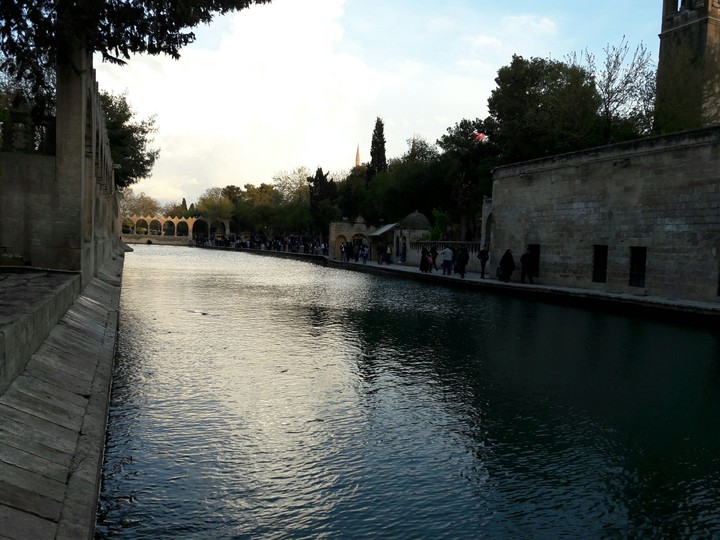 Balıklı göl-Pool of Abraham