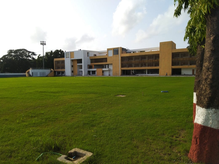 Lush green play ground
