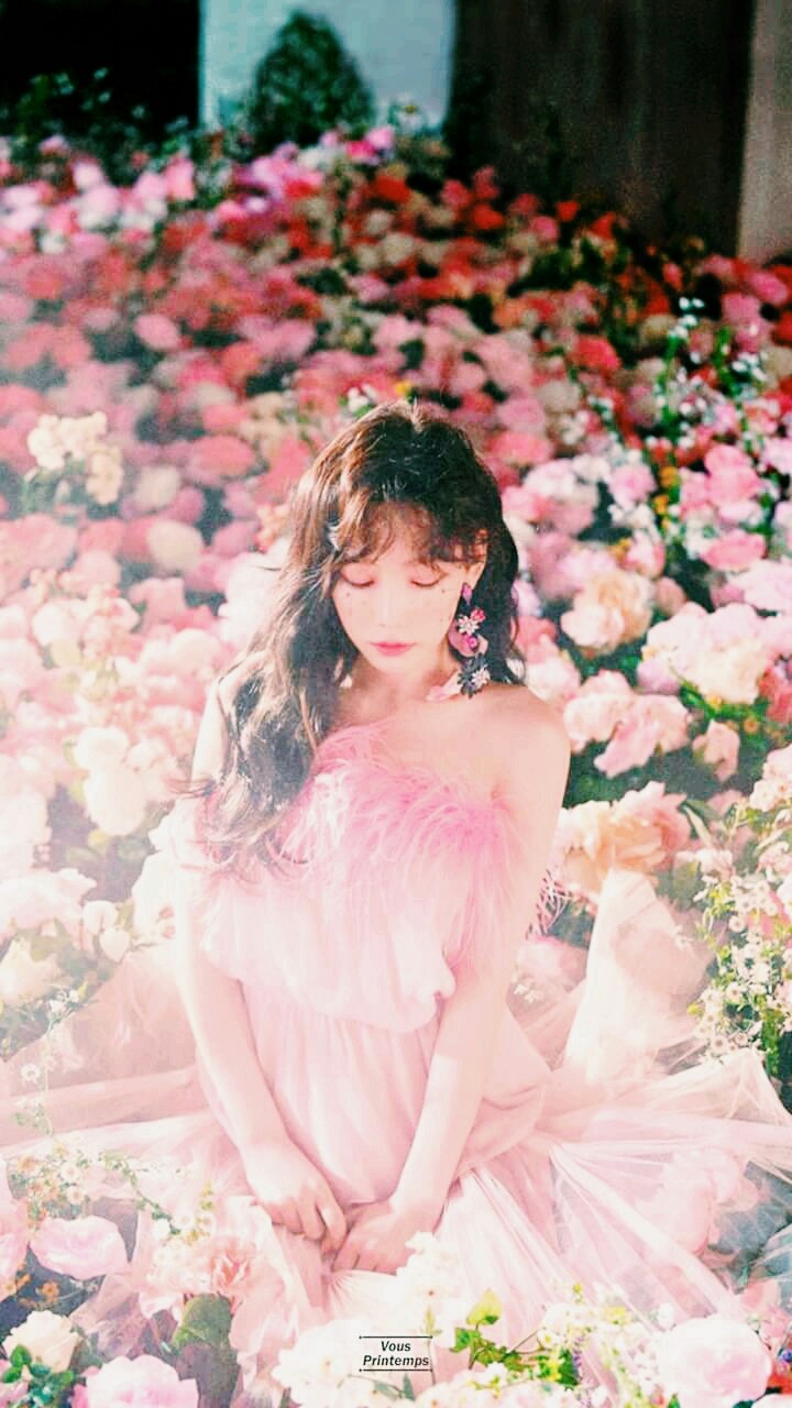 beautiful rose