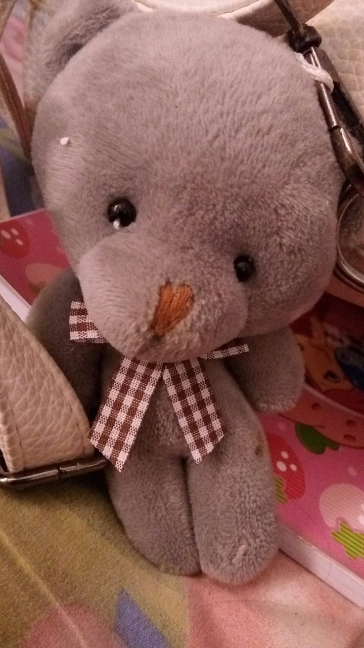 Teddy bear