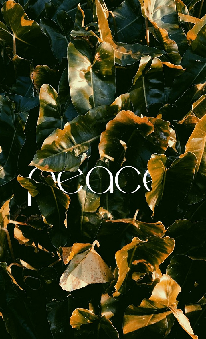 vibes