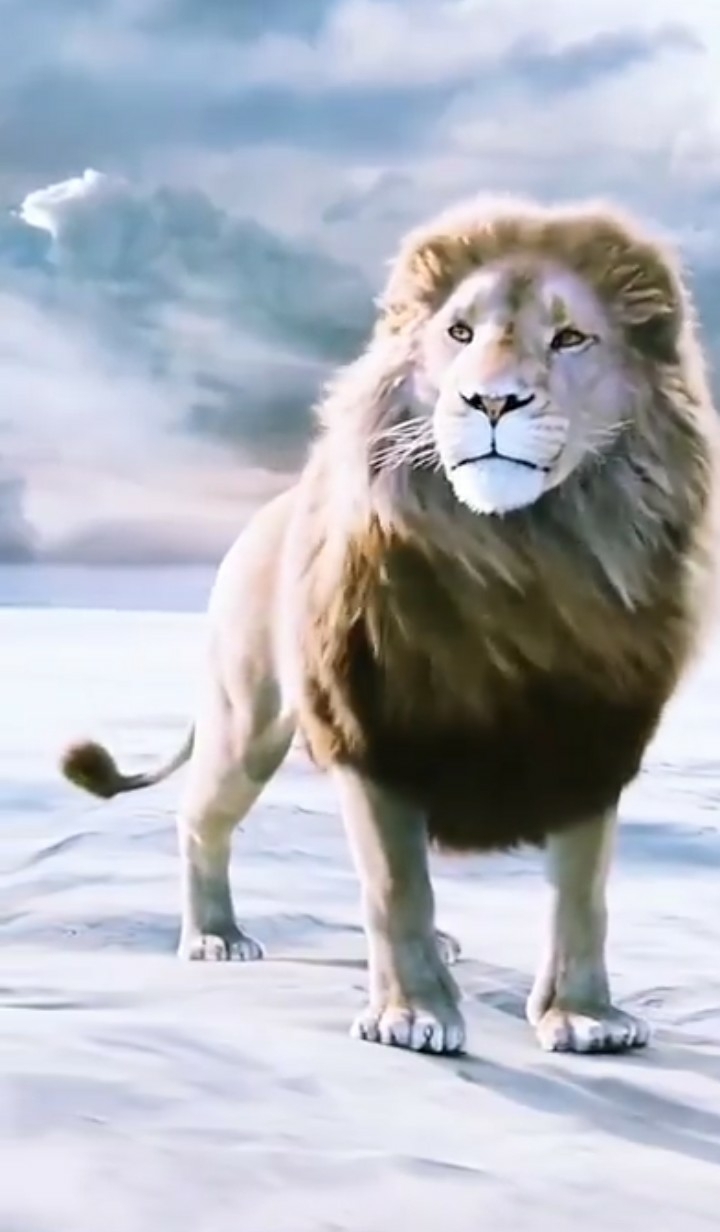 Roar