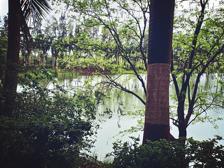 lake