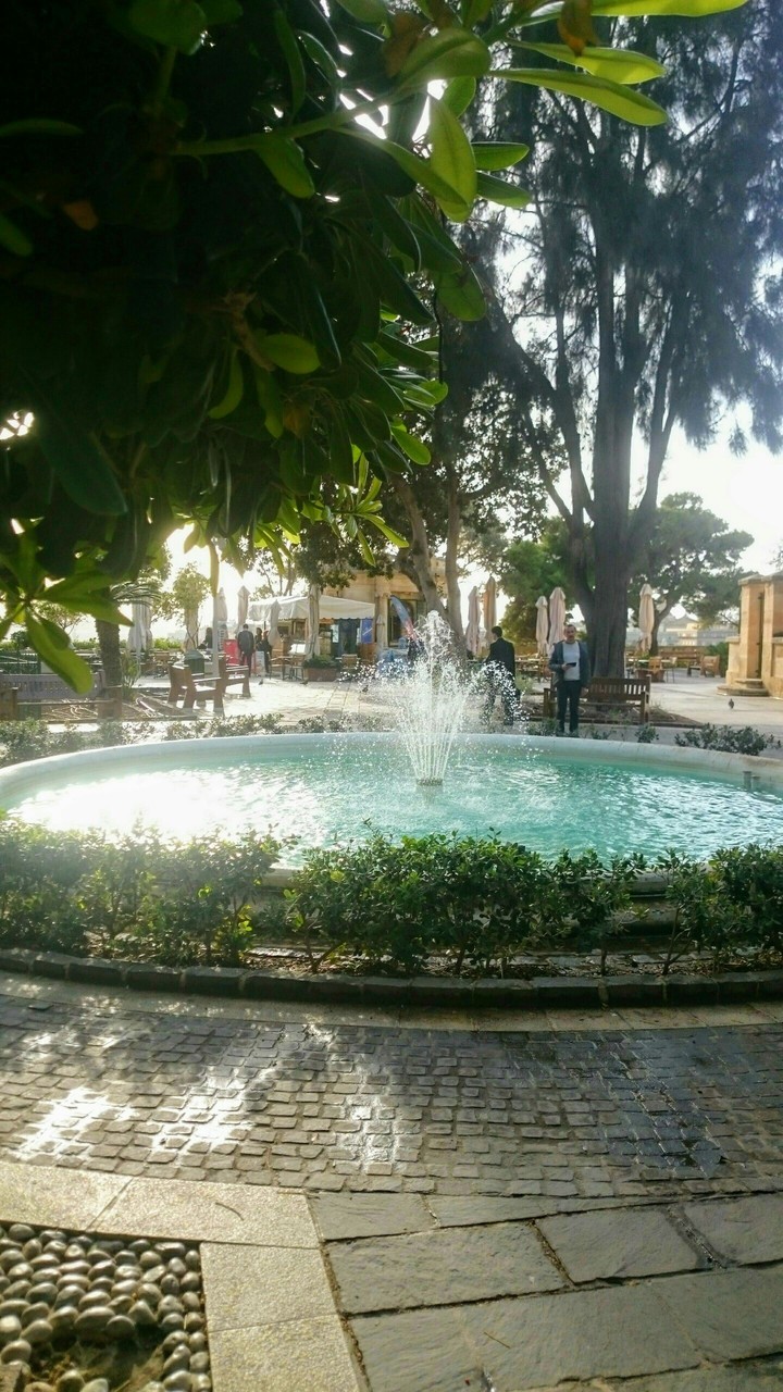 STAMATIOS