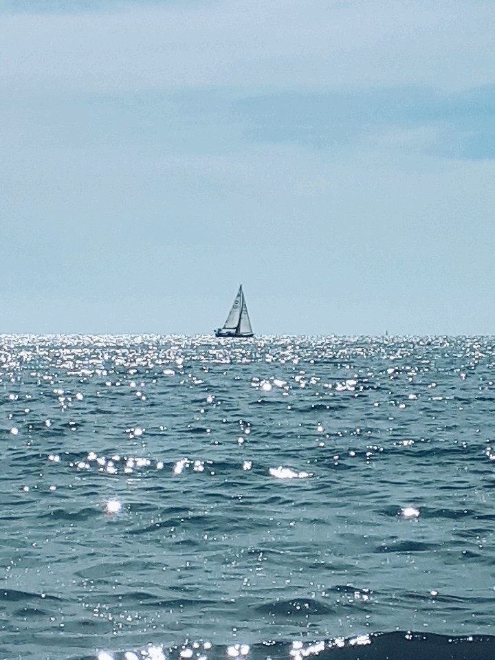 mare