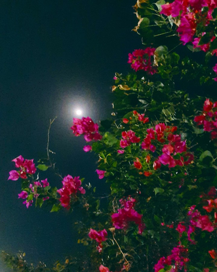 Moon ?
