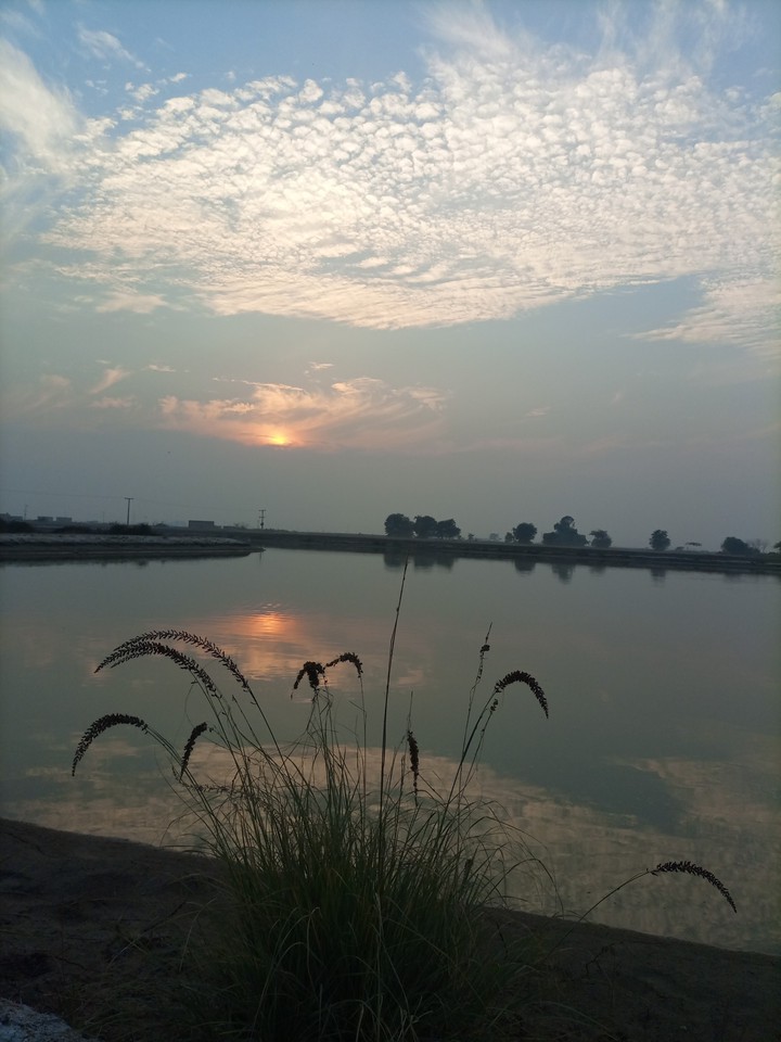 sunset near the pond