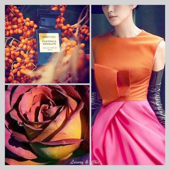 fashion world 