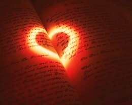 ♥♥♥♥