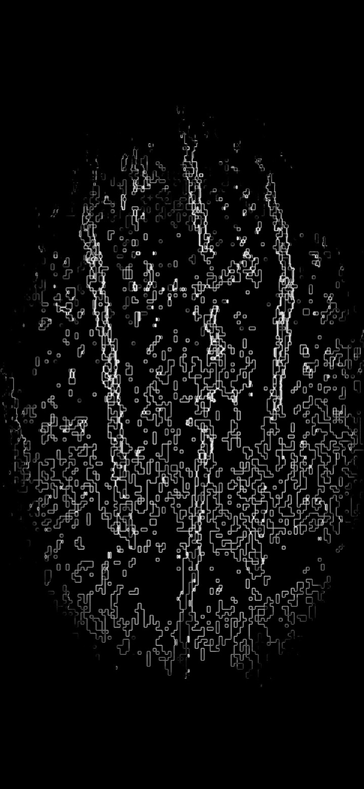 Black Hole with White